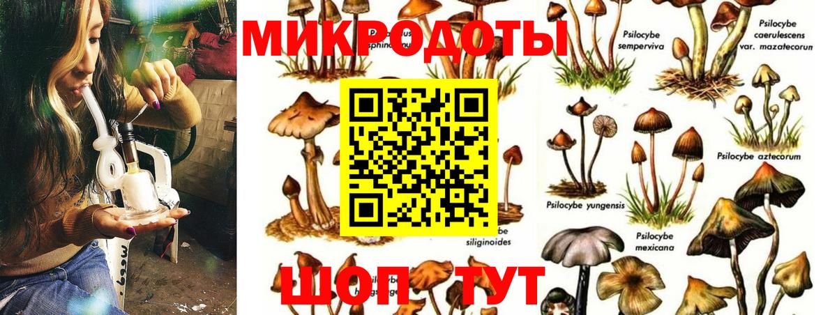 Галлюциногенные грибы GOLDEN TEACHER  Псилоцибиновые грибы Psilocybine cubensis  Вход с VPN  Горячий Ключ 