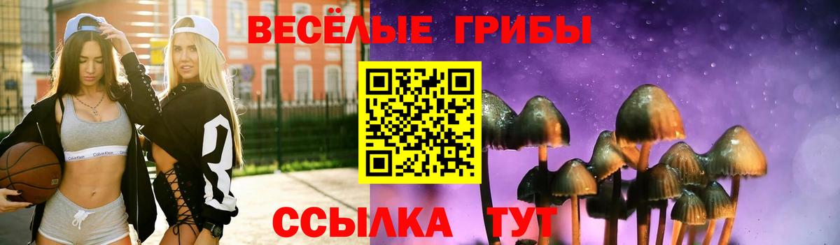 Галлюциногенные грибы GOLDEN TEACHER Горячий Ключ